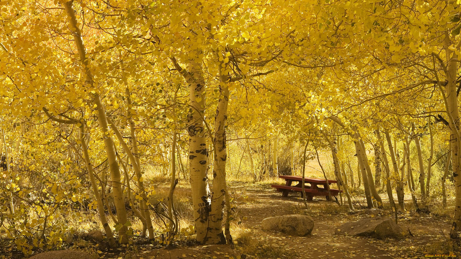 autumn, , , , , , , 